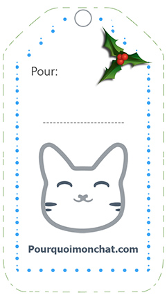 Etiquette cadeau noel a imprimer animaux
