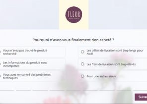 Questionnaire cadeau noel