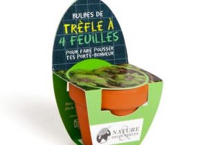 Cadeau de noel a 2 euro