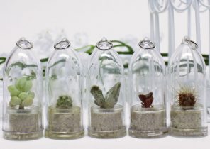 Cadeau de noel mur vegetal