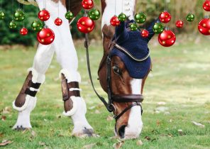 Cadeau equitation noel