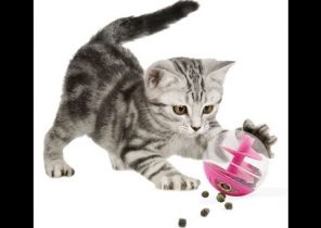 Cadeau de noel a fabriquer pour chat