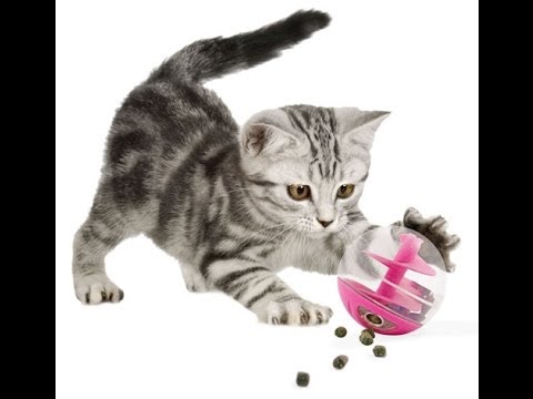Cadeau de noel a fabriquer pour chat