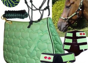 Idee cadeau de noel equitation