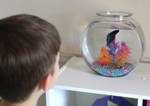 Cadeau de noel pour 10 ans