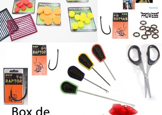 Coussin A en Forme De Storione Réaliste Idée Cadeau Pêche