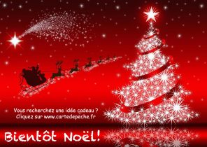 Cadeau de noel pour la peche