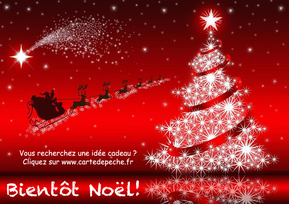 Savon cadeau noel