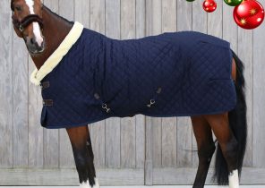 Cheval cadeau noel