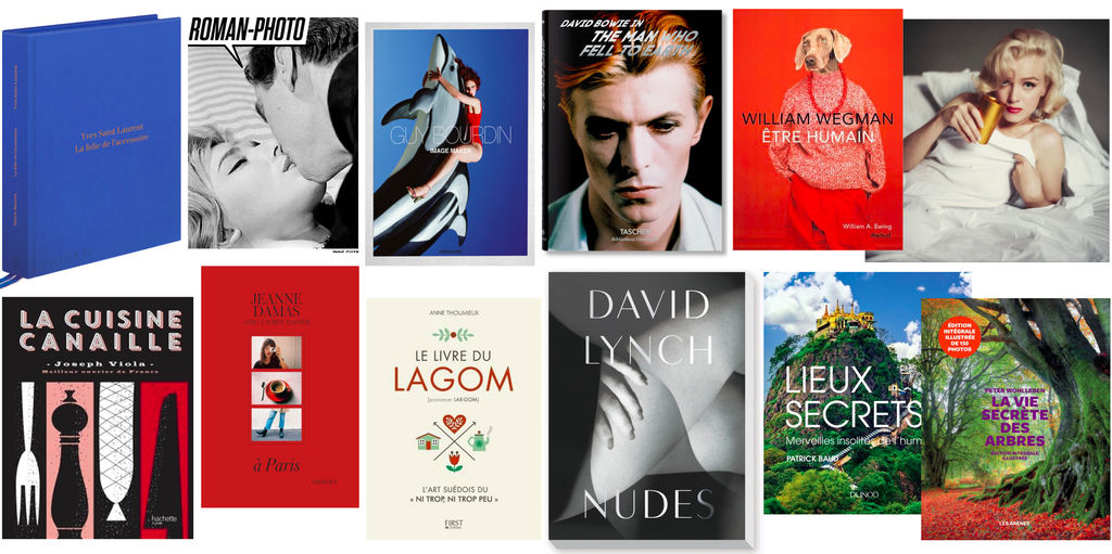 Idée cadeau livre noel