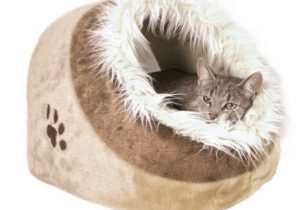 Cadeau de noël pour chat