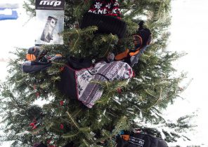 Cadeau noel ski