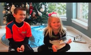 Cadeau pourri noel