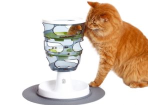 Cadeau chat noel
