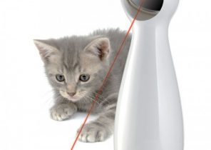 Cadeau de noel pour un chat