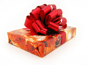 Livre en cadeau de noel