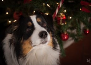 Site de cadeau de noel pas cher