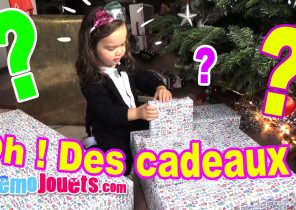 Idee cadeau noel pour maison