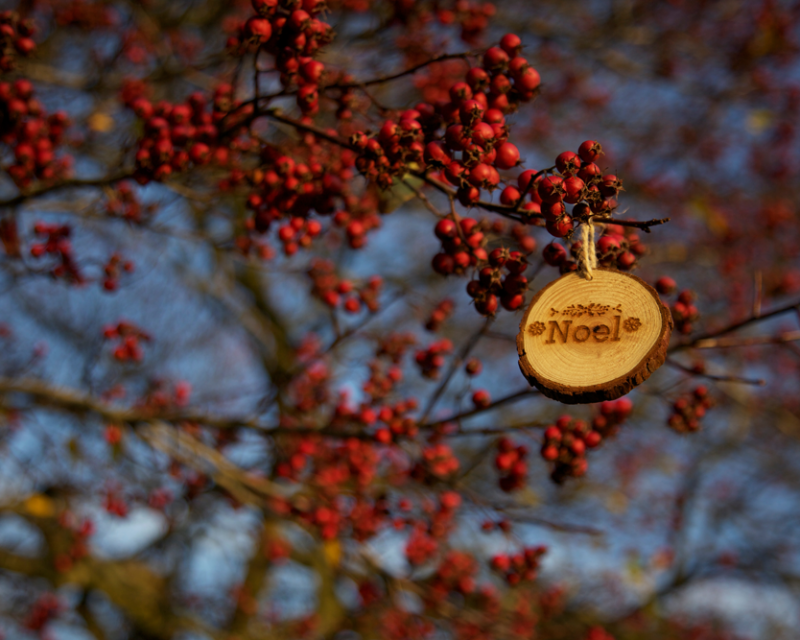 Quand offrir cadeau noel religion catholique