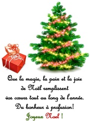 Message pour cadeau de noel