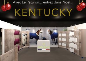 Cadeau de noel pour cavaliere