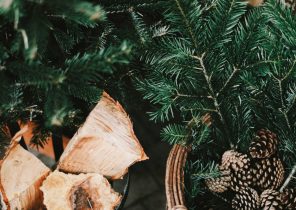 Je n&rsquo;ai pas eu de cadeau pour noel