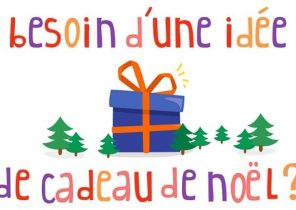 Livre pour cadeau de noel