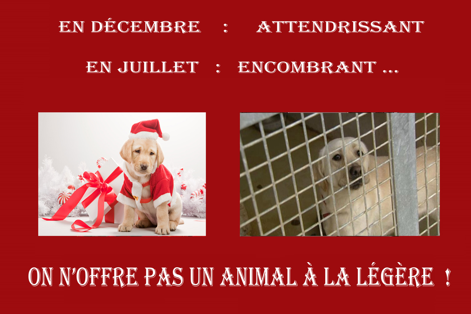Offrir cadeau avant noel