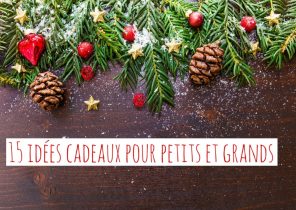 Je n&rsquo;aurais pas de cadeau a noel