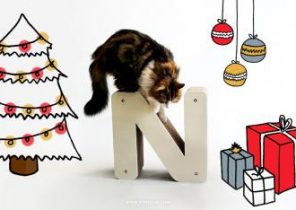 Cadeau noel golden moustache