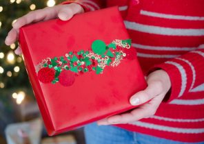 Le cadeau de noel de franklin