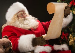 Cadeau de noel plongée