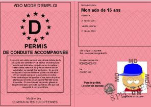 Cadeau pour fille 16 ans noel