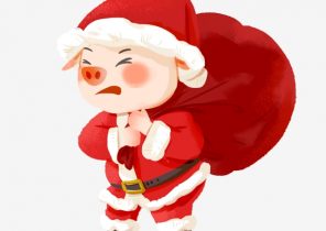 Cadeau noel mignon