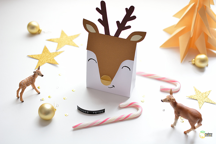 Diy pochette cadeau noel