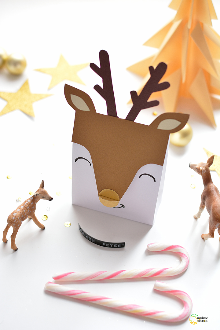 Pochette cadeau noel a imprimer