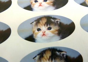 Etiquette cadeau noel chaton