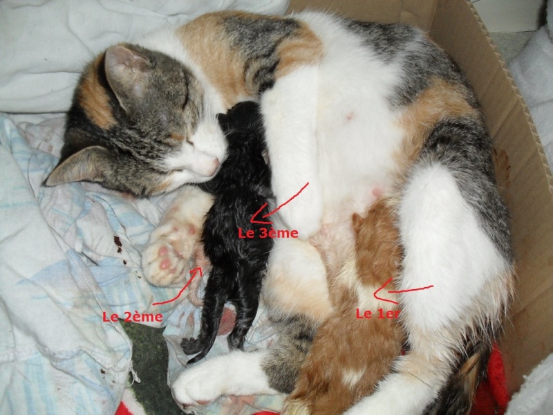 Un beau cadeau pour noel