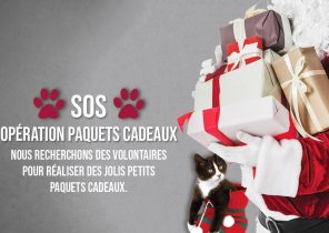Association cadeau noel
