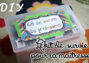Idée cadeau maitresse noel