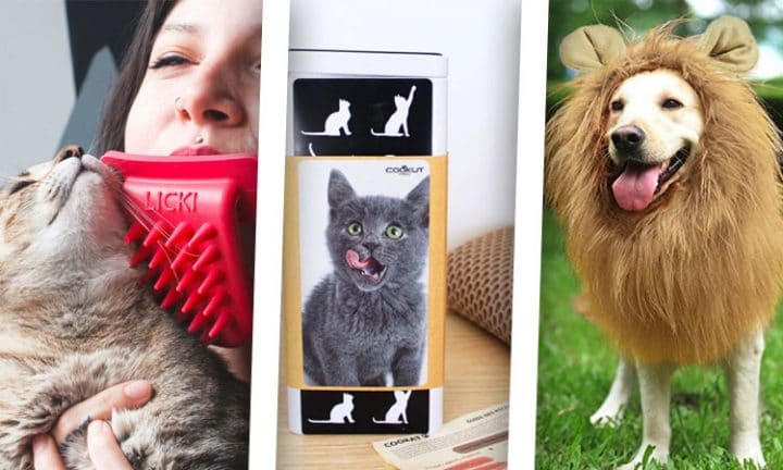 Idee cadeau noel animaux