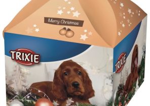 Cadeau de noël pour chien