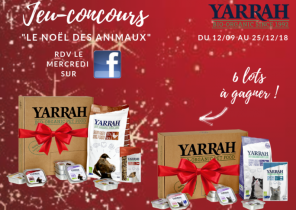 Cadeau a gagner pour noel